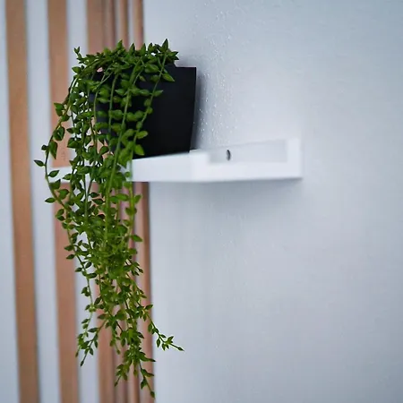 Daire Fewostaeps- Charmanter, Moderner Juwel *